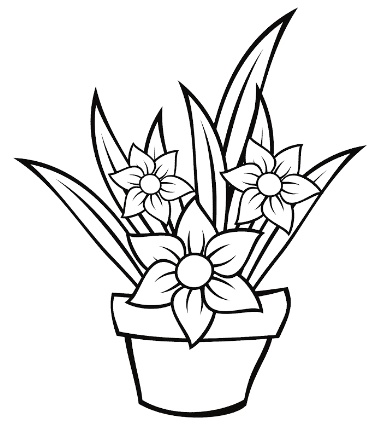 sketsa bunga keren