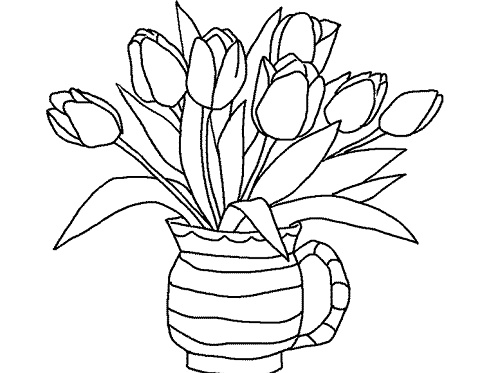 sketsa bunga tulip di pot