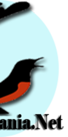 Index Of Wp Content Uploads 2019 05