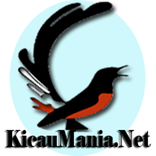 cropped-kicaumania-logo-besar-2.png - Portal Informasi ...
