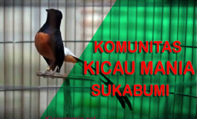 Kicau Mania Sukabumi