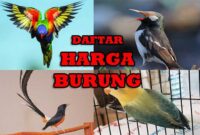 harga-burung