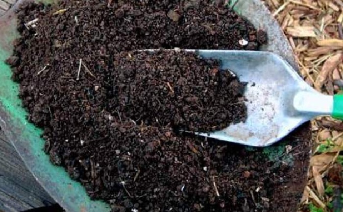 Cara Membuat Tanah Kompos Organik